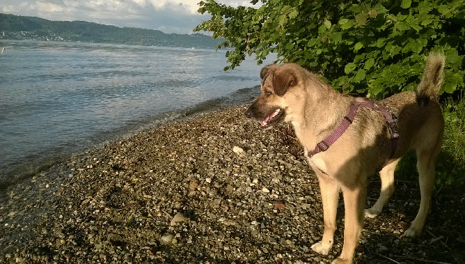 WP_20150627_20_00_45_Pro